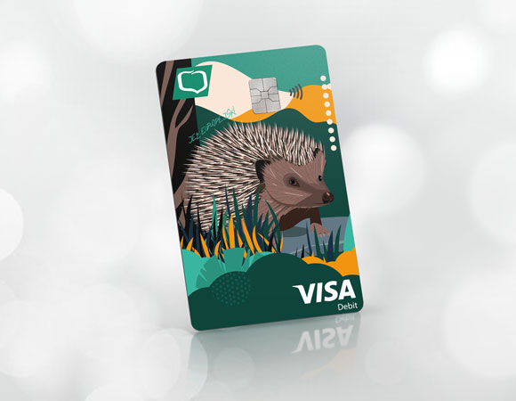 Visa Business Debetowa